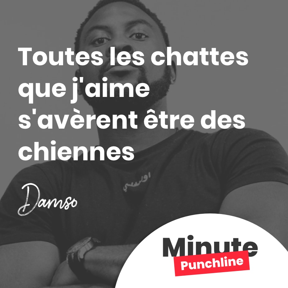 Toutes les chattes que j’aime s’avèrent être des chiennes