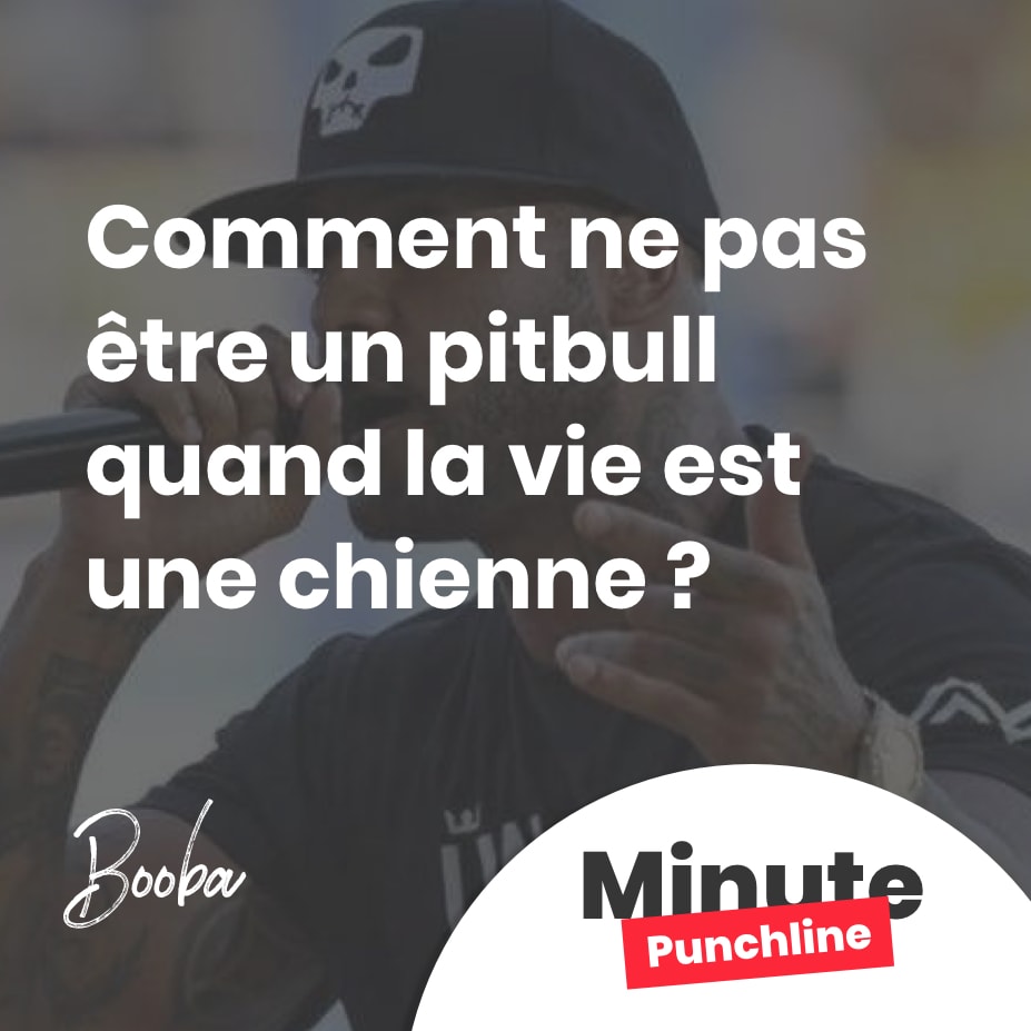Comment ne pas être un pitbull quand la vie est une chienne ?