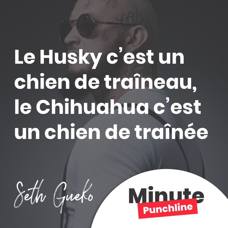 Le Husky c’est un chien de traîneau, le Chihuahua c’est un chien de traînée