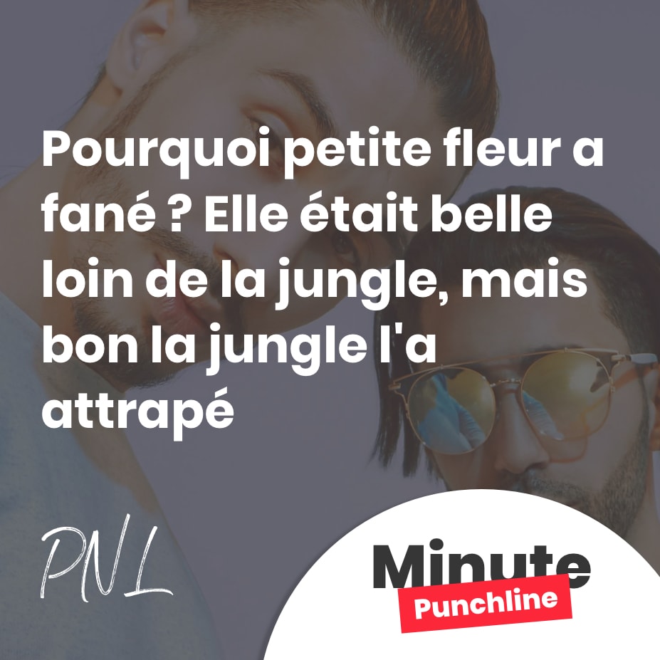 Pourquoi petite fleur a fané ? Elle était belle loin de la jungle, mais bon la jungle l’a attrapé