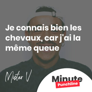 Je connais bien les chevaux, car j'ai la même queue