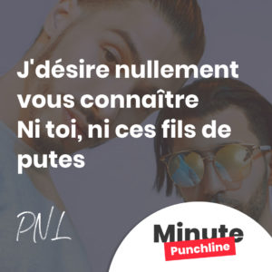 J'désire nullement vous connaître Ni toi, ni ces fils de putes