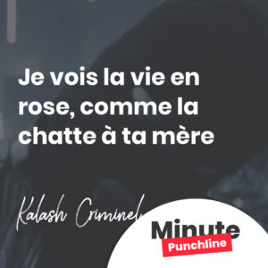 j'vois la vie en rose, comme la chatte à ta mère