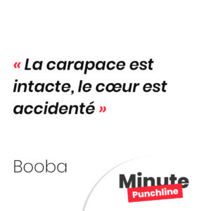 La carapace est intacte, le cœur est accidenté