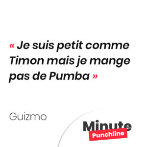 Je suis petit comme Timon mais je mange pas de Pumba