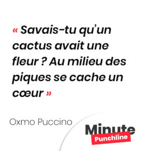 Savais-tu qu’un cactus avait une fleur ? Au milieu des piques se cache un cœur