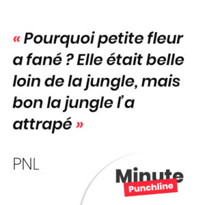 Pourquoi petite fleur a fané ? Elle était belle loin de la jungle, mais bon la jungle l’a attrapé
