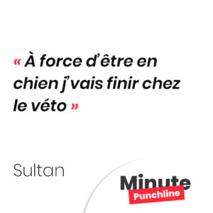 À force d’être en chien j’vais finir chez le véto
