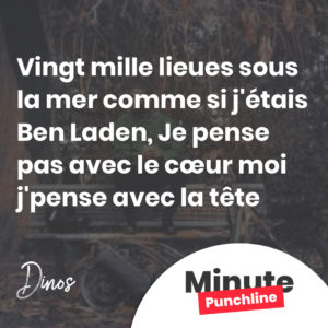 Vingt mille lieues sous la mer comme si j'étais Ben Laden, Je pense pas avec le cœur moi j'pense avec la tête