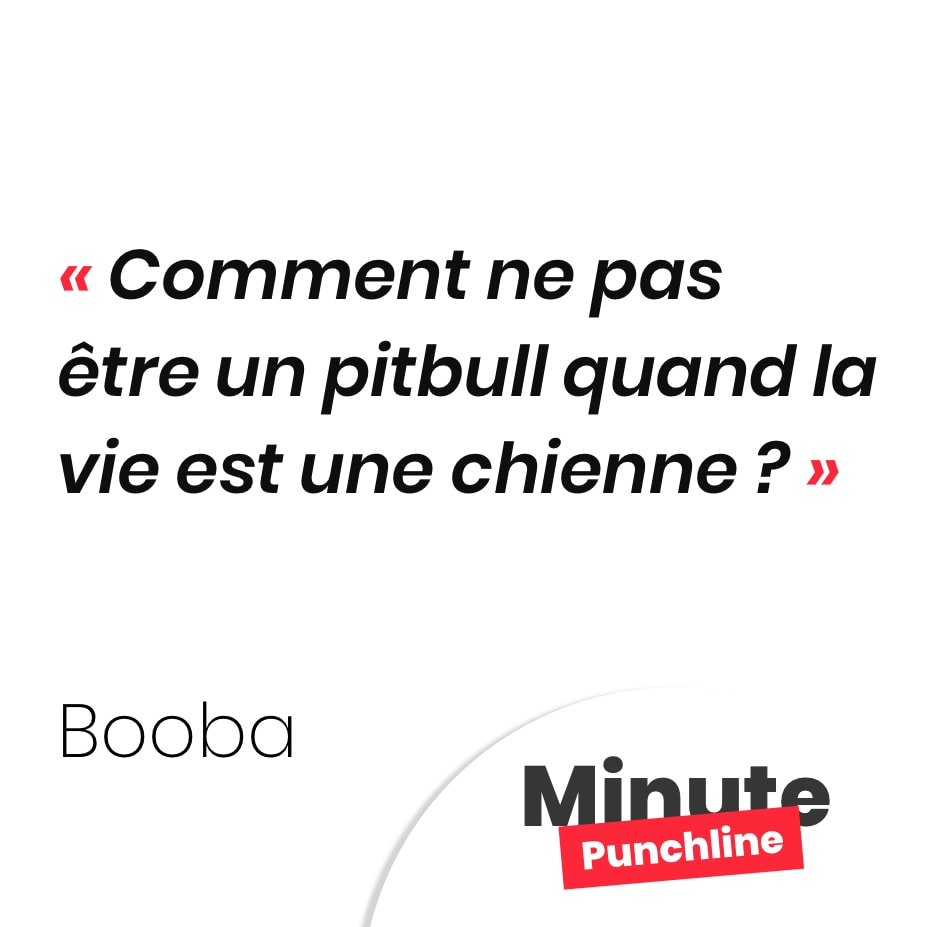 Comment ne pas être un pitbull quand la vie est une chienne ?