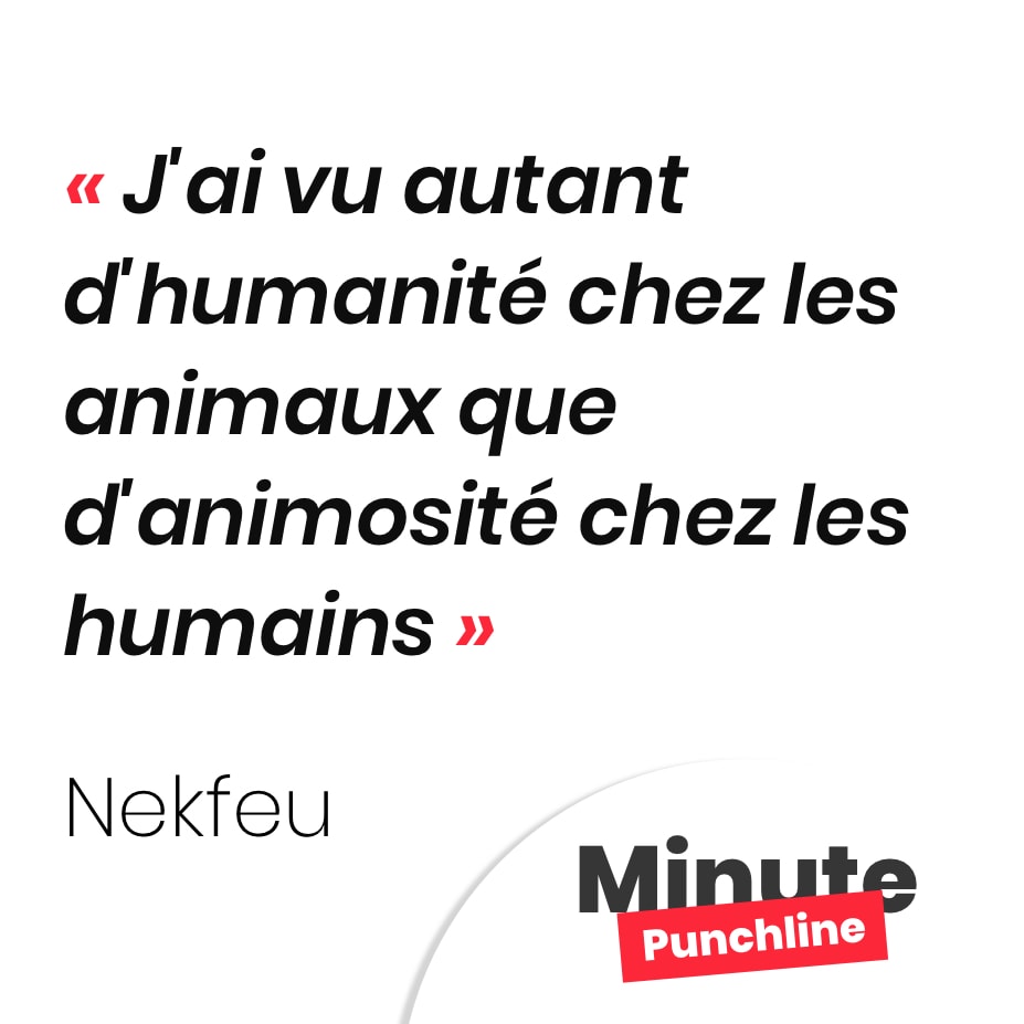 J'ai vu autant d'humanité chez les animaux que d'animosité chez les humains