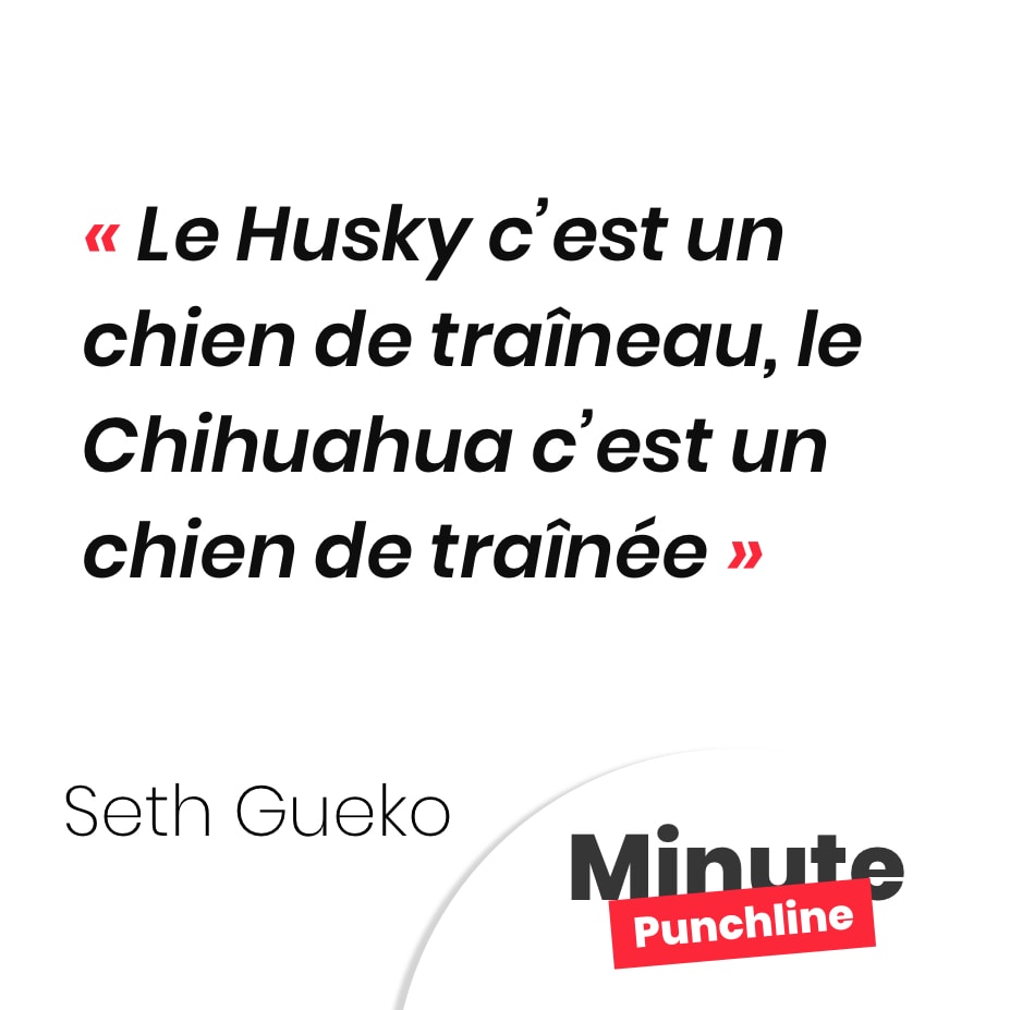 Le Husky c’est un chien de traîneau, le Chihuahua c’est un chien de traînée